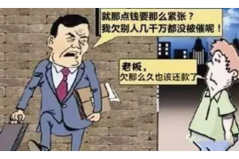 日土工资清欠服务